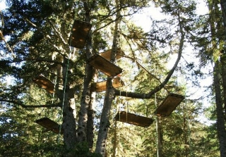Sites pour se reposer dans les arbres